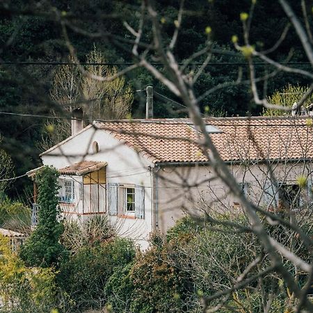 Maison D'Hotes Eco-Responsable Avec Piscine 6X12M Châteaudouble Dış mekan fotoğraf