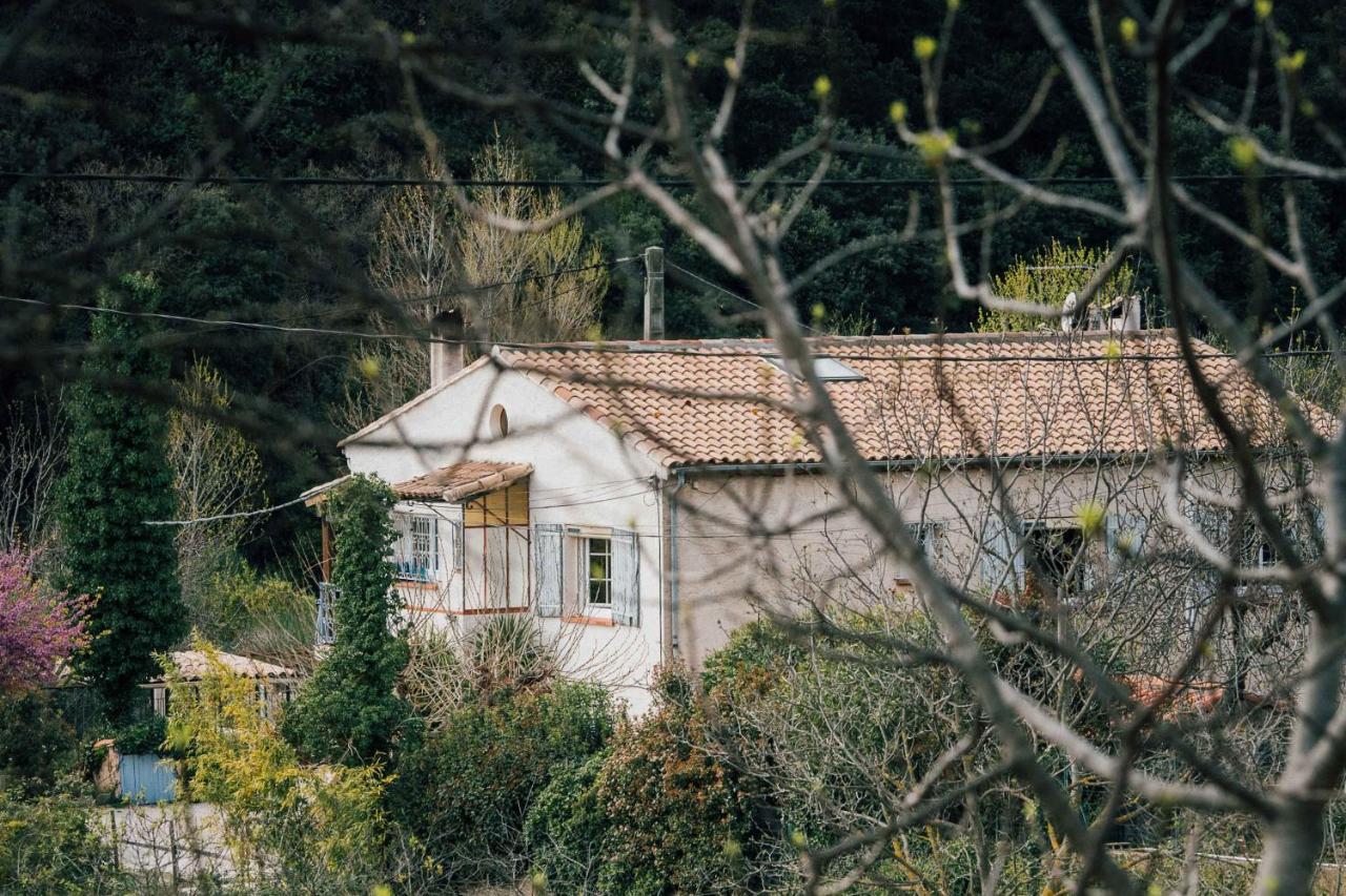 Maison D'Hotes Eco-Responsable Avec Piscine 6X12M Châteaudouble Dış mekan fotoğraf