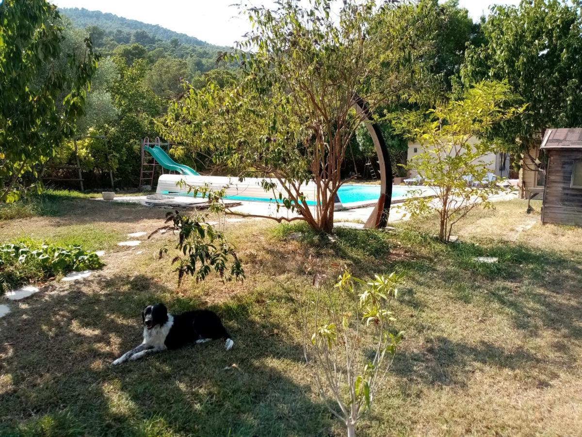 Maison D'Hotes Eco-Responsable Avec Piscine 6X12M Châteaudouble Dış mekan fotoğraf